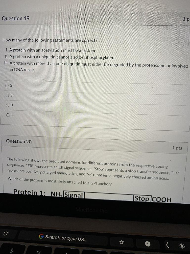 Solved Question 19 1 p How many of the following statements | Chegg.com