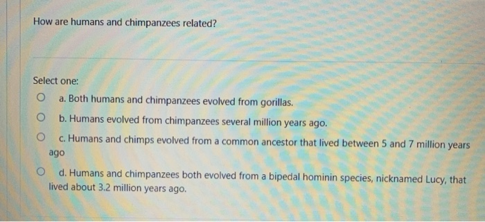 Solved How Are Humans And Chimpanzees Related Select One O Chegg Solved How Are Humans And Chimpanzees Related Select One O Chegg