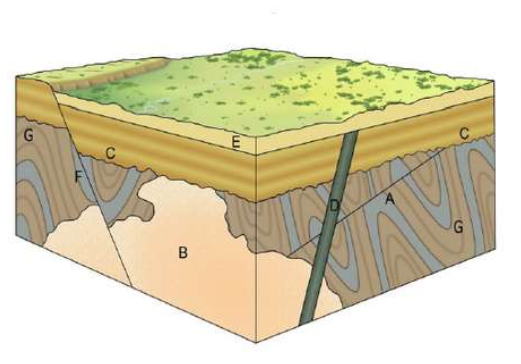 Solved Please list the geologic events chronologically based | Chegg.com
