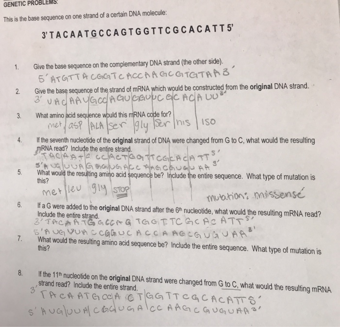 solved-genetic-problems-this-is-the-base-sequence-on-one-chegg