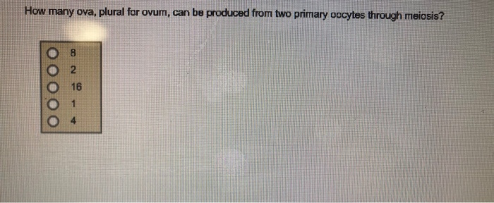 solved-how-many-ova-plural-for-ovum-can-be-produced-from-chegg