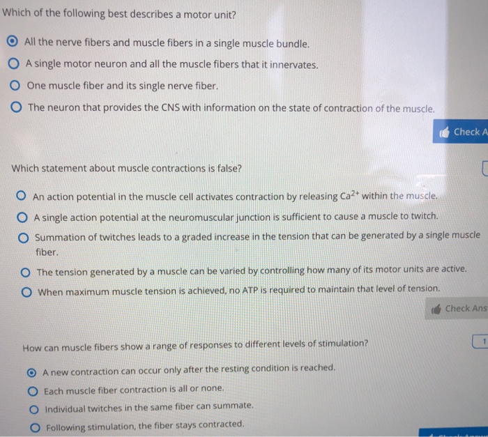 Solved Which of the following best describes a motor unit? O | Chegg.com