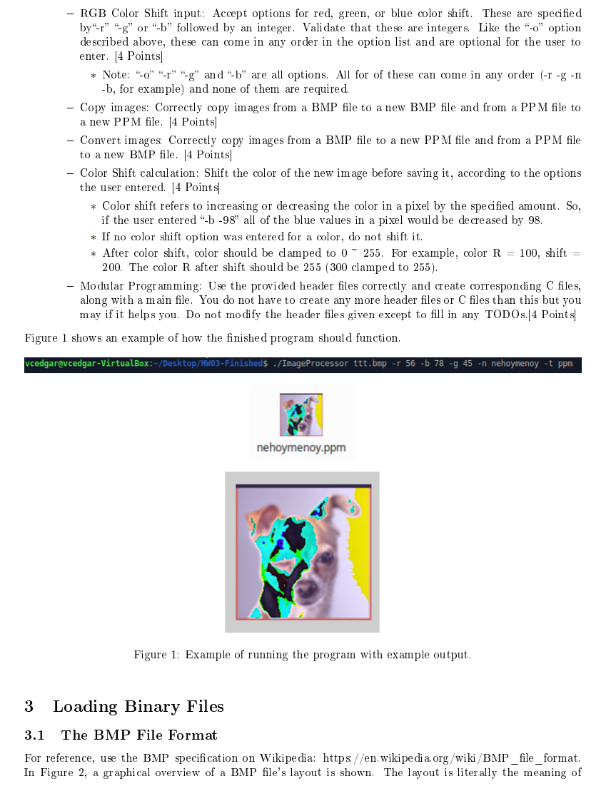 C Program help C Program that loads an image file