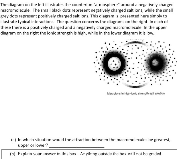 Solved The diagram on the left illustrates the counterion | Chegg.com