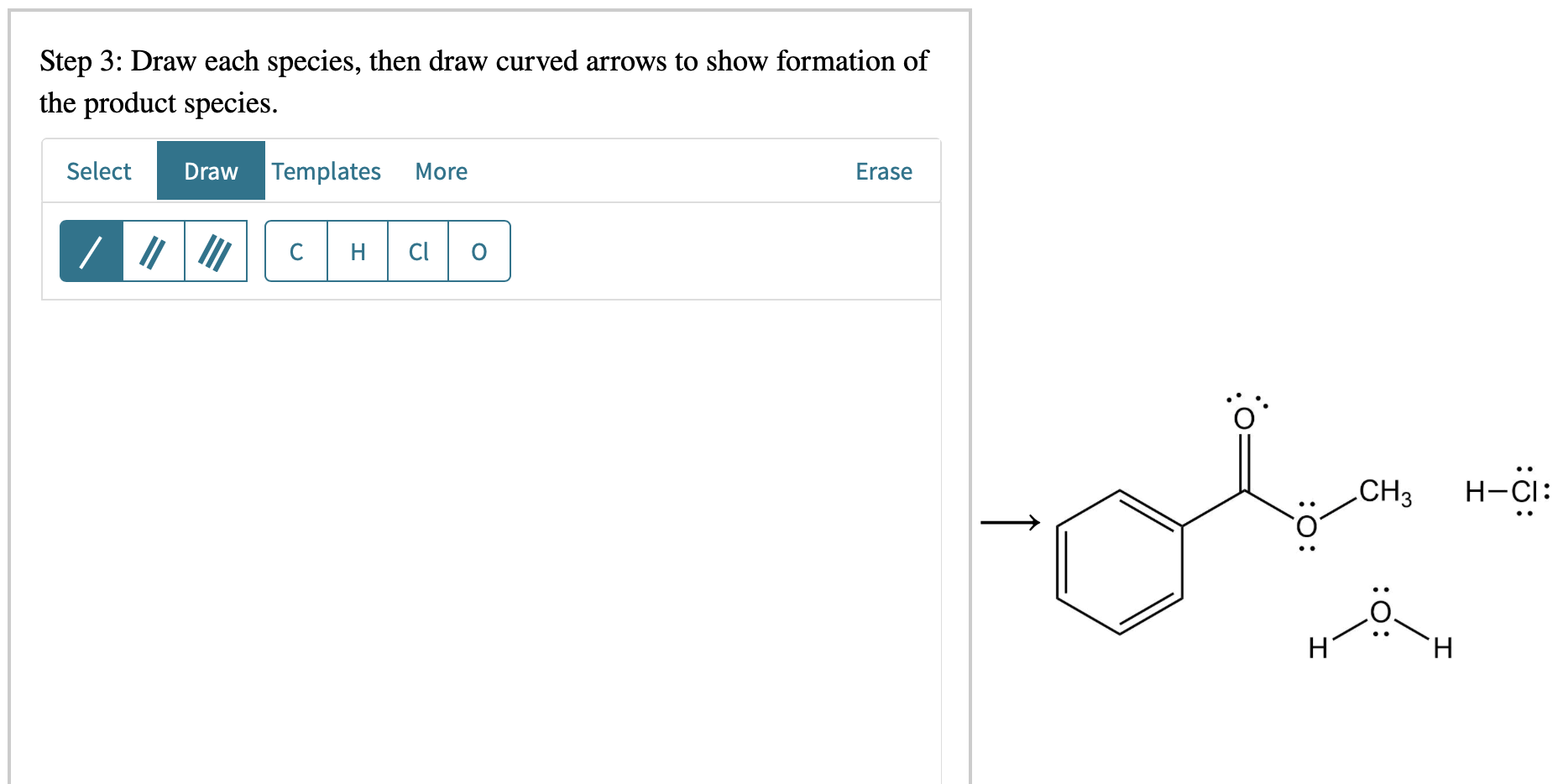 Solved Examination of the Fischer esterification mechanism | Chegg.com