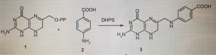 Dhp reaction fashion mechanish