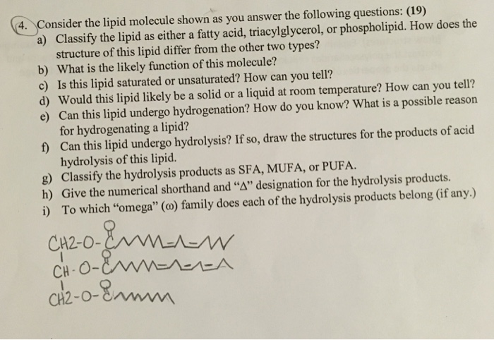 Consider the lipid molecule shown as you answer the | Chegg.com