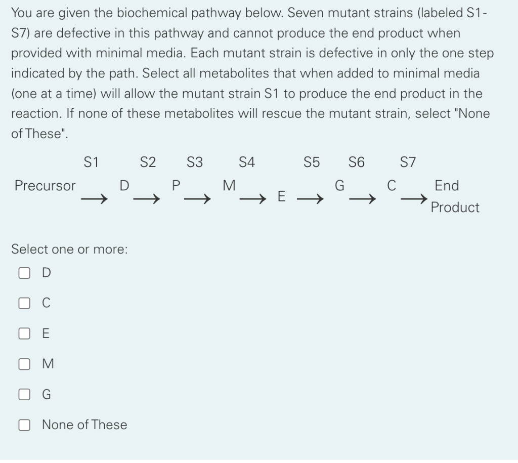 Solved Use The Biochemical Pathway Below To Answer This | Chegg.com