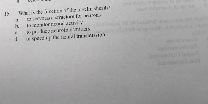 Solved What is the function of the myelin sheath? a. to | Chegg.com
