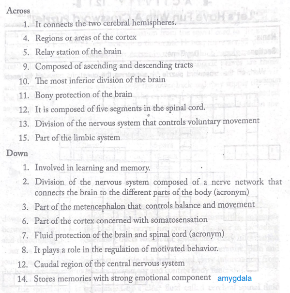 Solved Po Ette Across It Connects The Two Chegg Com