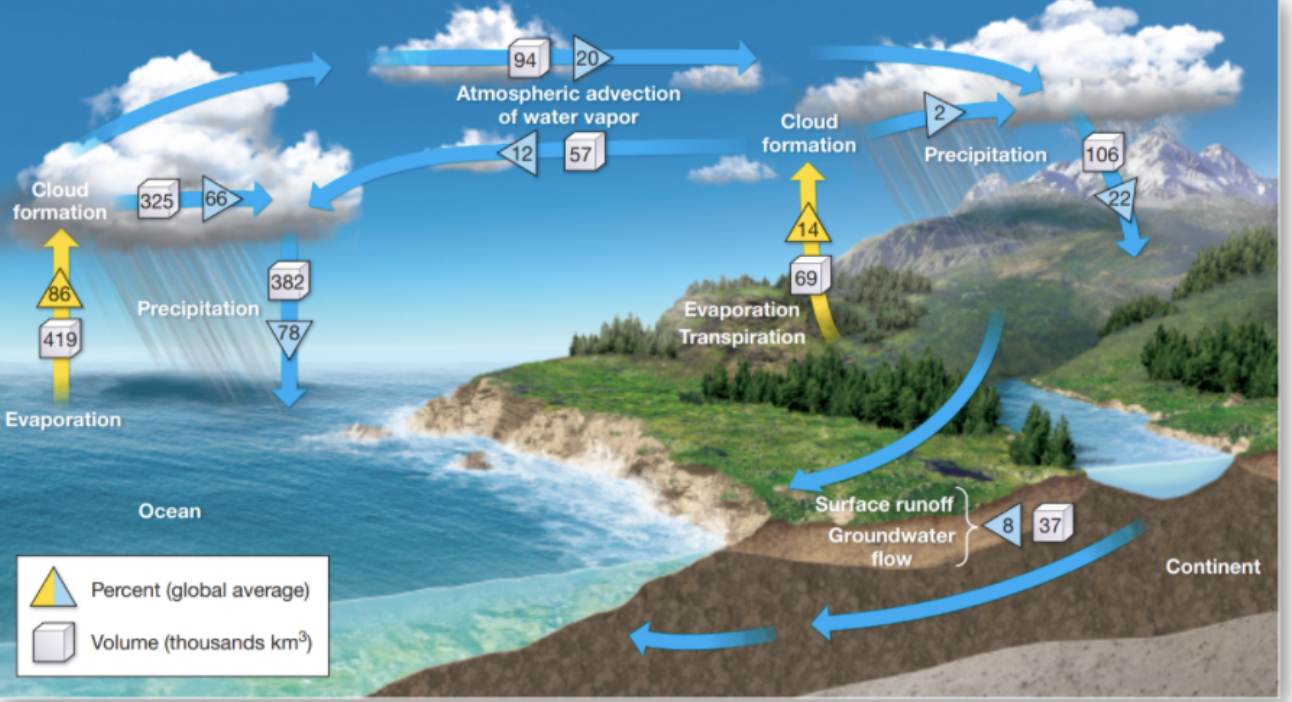 Refer to textbook Figure 8.5 (The hydrologic cycle | Chegg.com