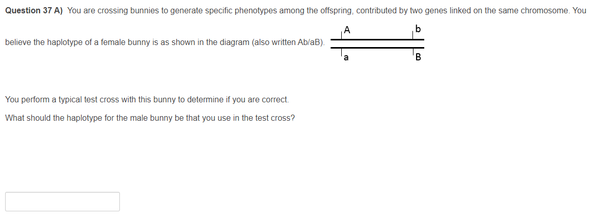 Cross Over Test Rabbits Solved Question 37 A) You are crossing bunnies to generate | Chegg.com