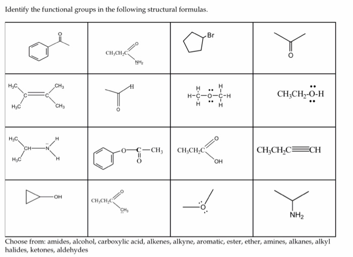 Solved Identify the functional groups in the following