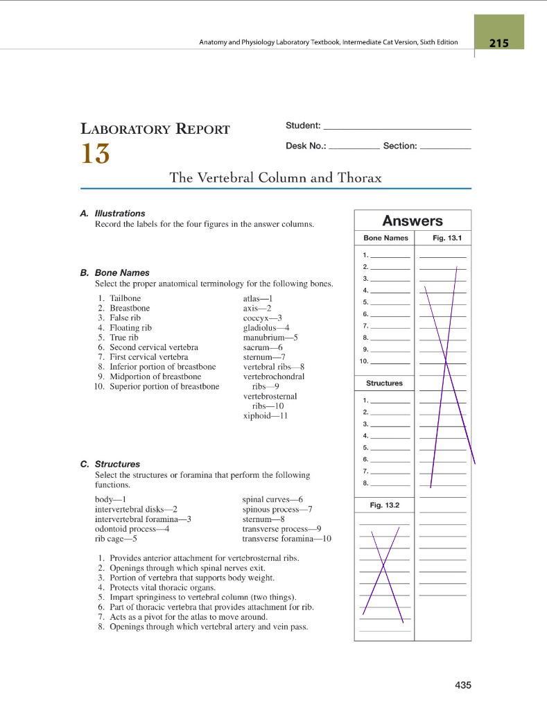 Anatomy And Physiology Laboratory Textbook Interm Chegg Com