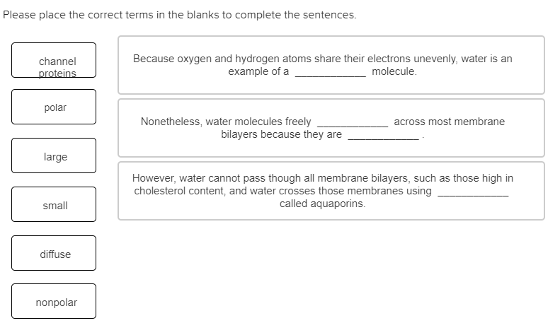 Solved Please Place The Correct Terms In The Blanks To Chegg Com