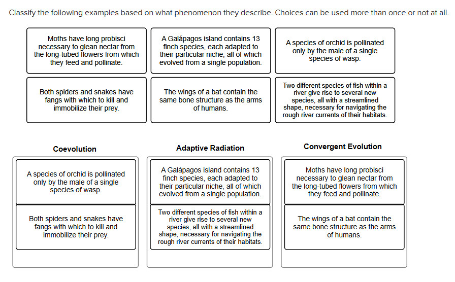 Solved Classify the following examples based on what | Chegg.com