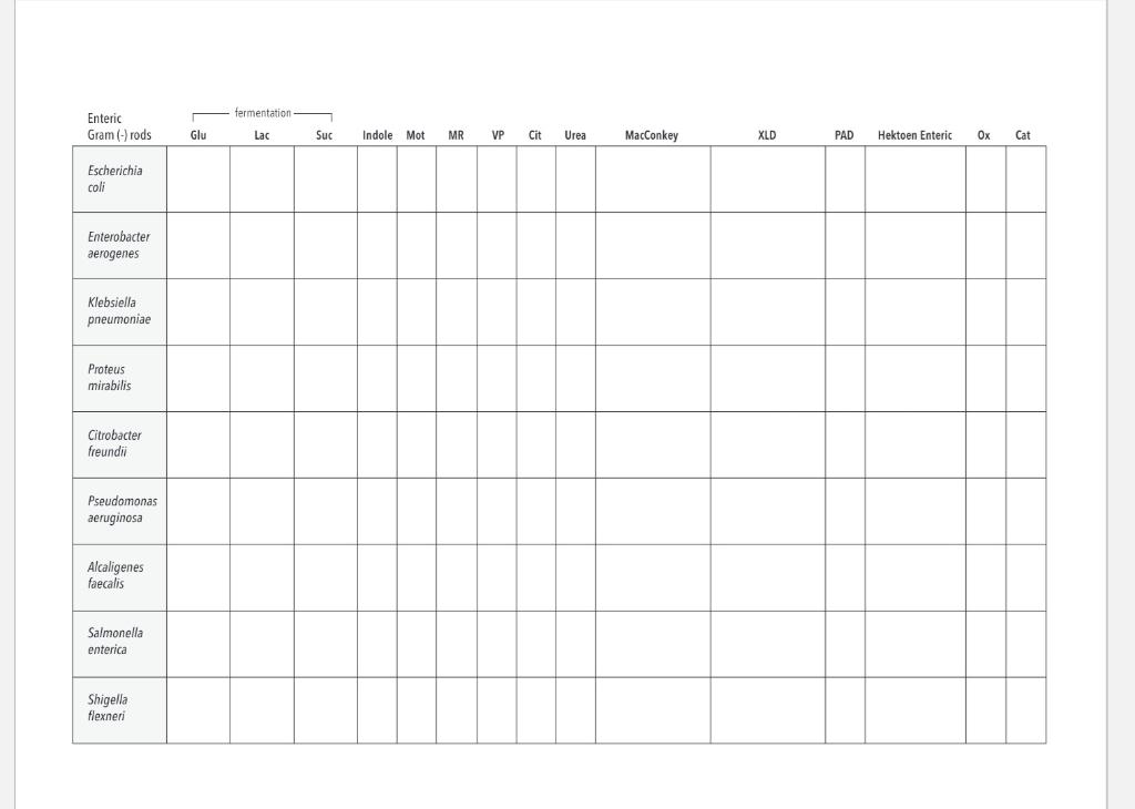 Solved Enteric Gram Rods Escherichia Coli Enterobacter Chegg Com   PhpjRY7OW