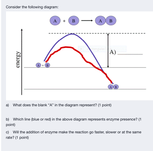 Solved Consider The Following Diagram: A B - AB A) Energy B | Chegg.com