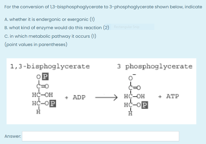 1 3 bisphosphoglycerate