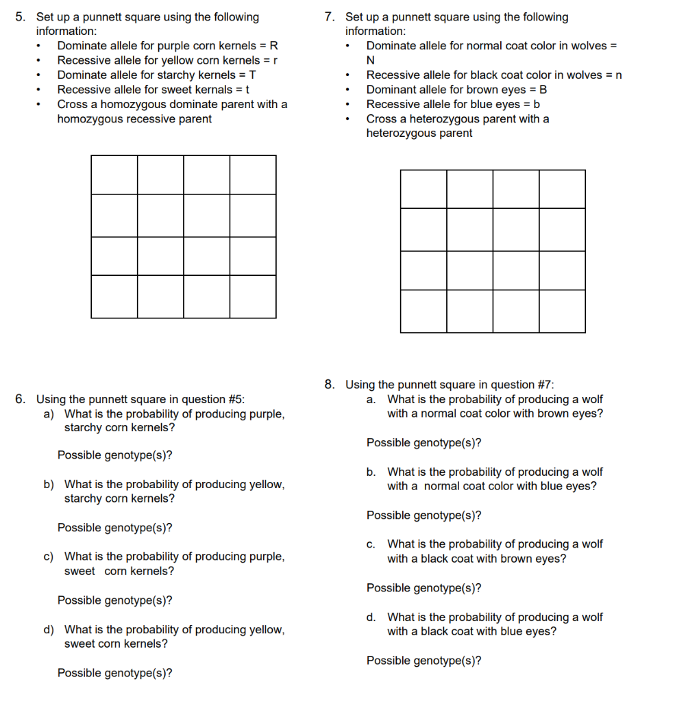 Solved 5. Set up a punnett square using the following | Chegg.com