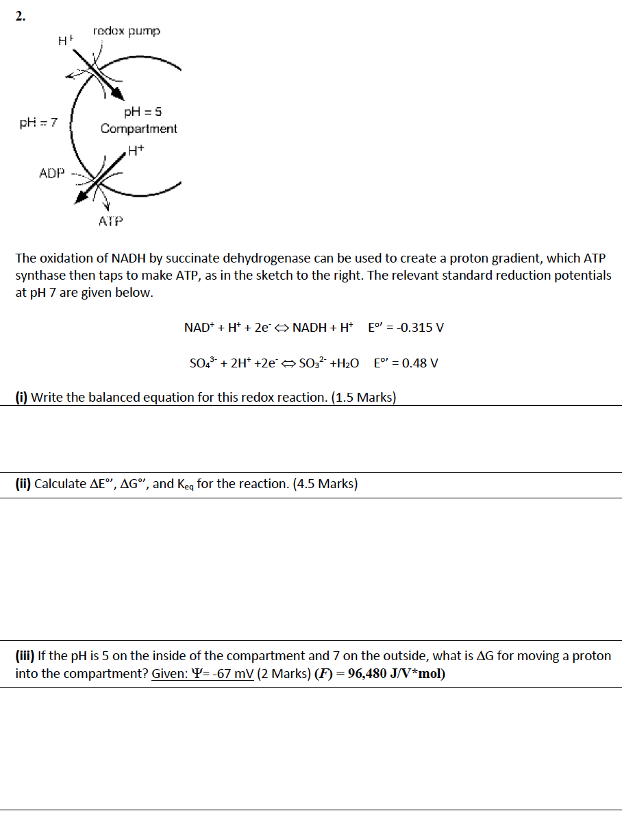 Solved Please Help With These Bio-chem Questions! Short | Chegg.com