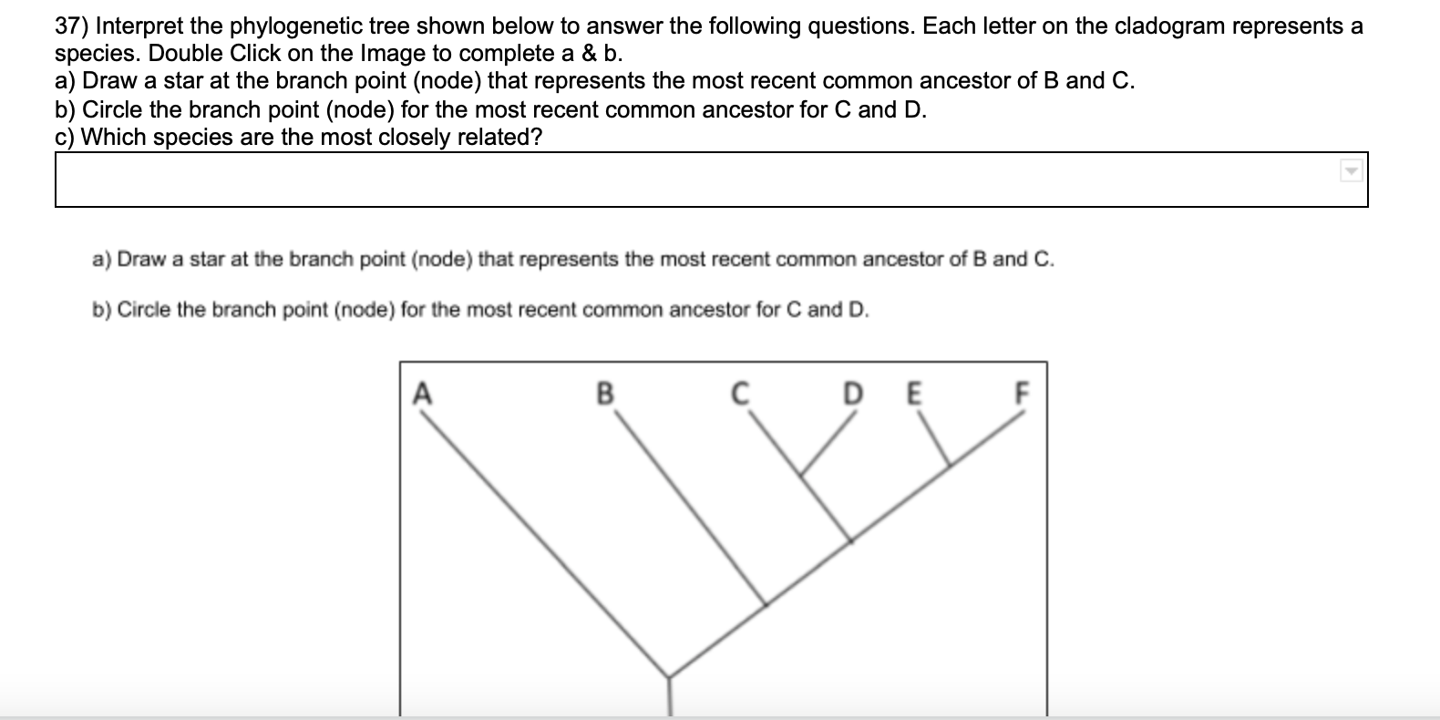 Solved 37) Interpret The Phylogenetic Tree Shown Below To | Chegg.com