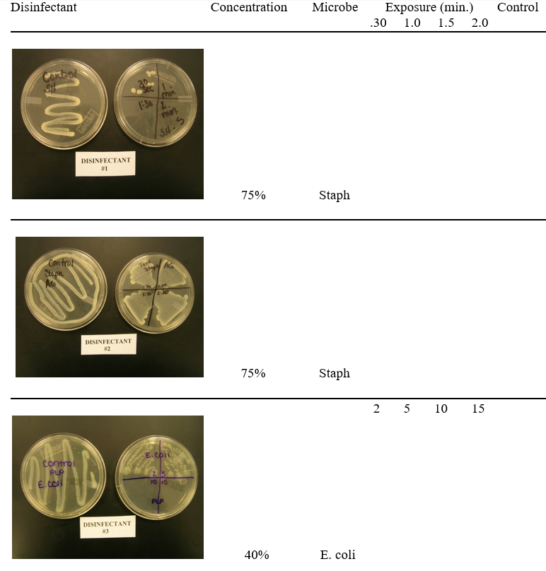 Observe all nutrient agar plates for growth.