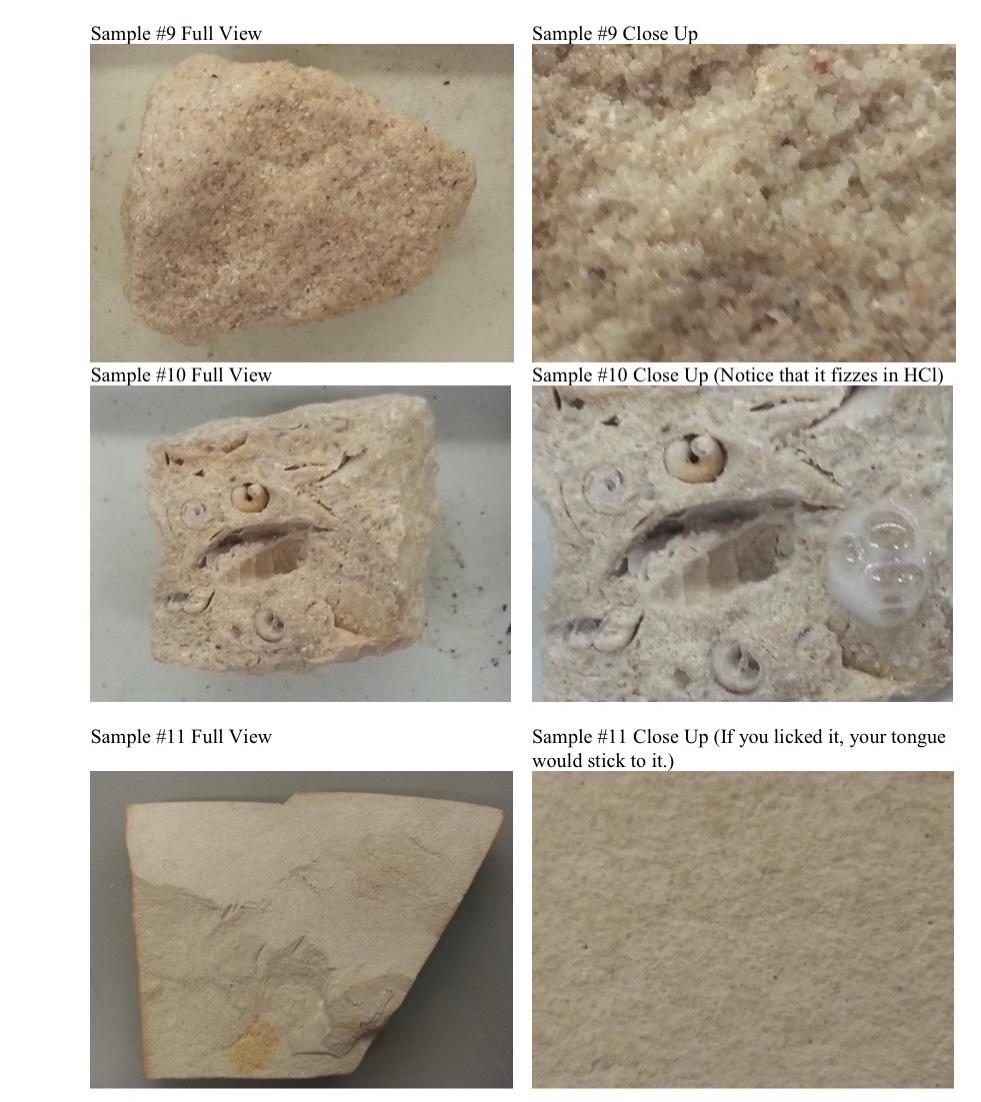 Solved Sample #9: Is this rock clastic or chemical? مجموعة | Chegg.com