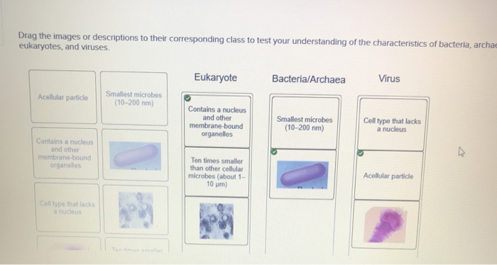 Solved es or descriptions to their corresponding class to | Chegg.com