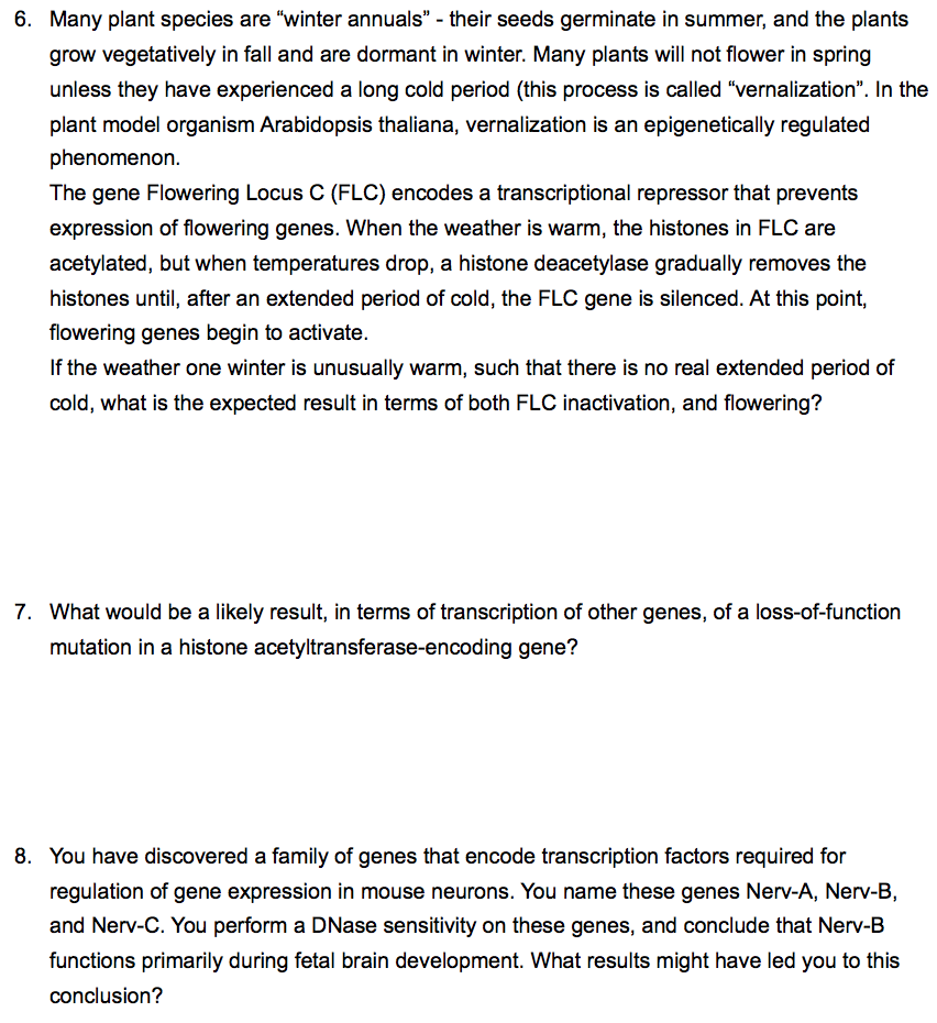 Gene Expression And Regulation Worksheet