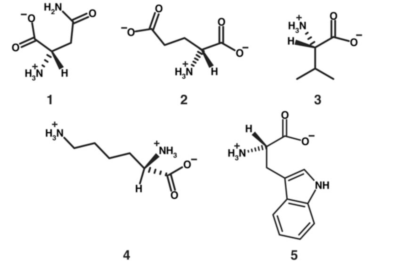 solved-a-what-is-the-three-letter-code-of-amino-acid-3-chegg