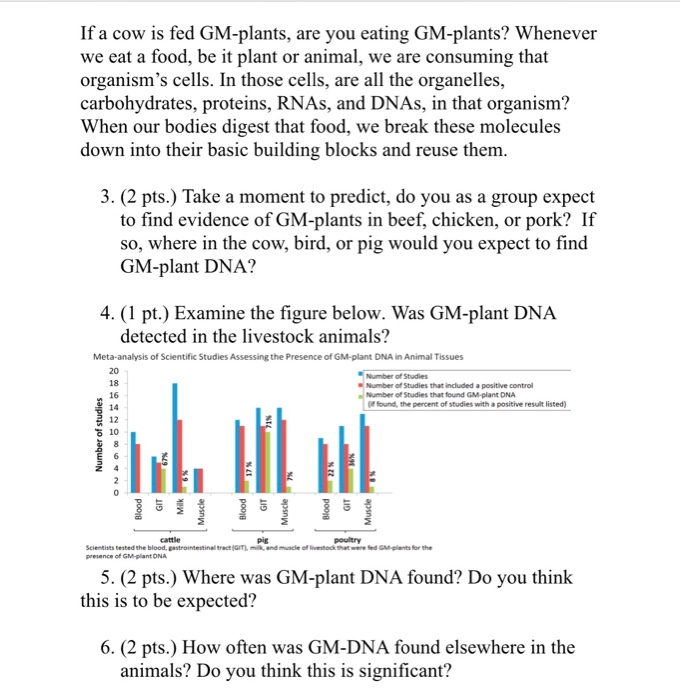 solved if a cow is fed gm plants are