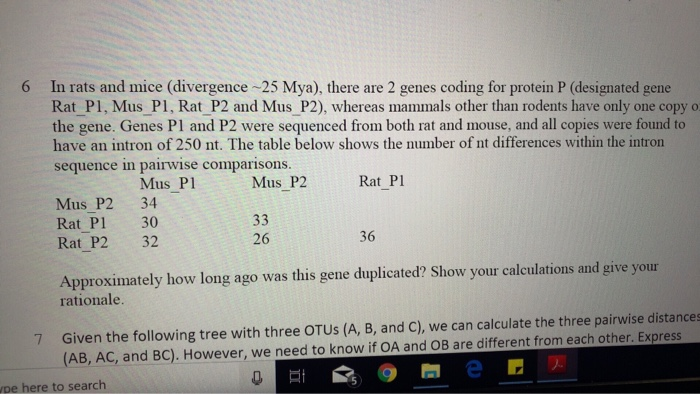 6 In rats and mice (divergence-25 Mya), there are 2 | Chegg.com