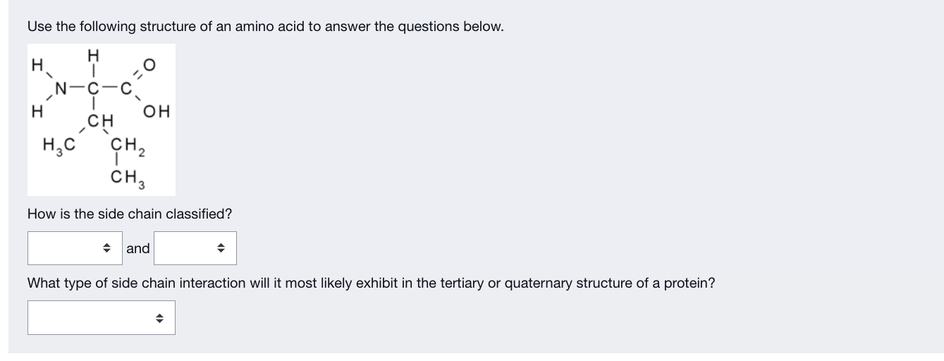 Solved Use the following structure of an amino acid to | Chegg.com