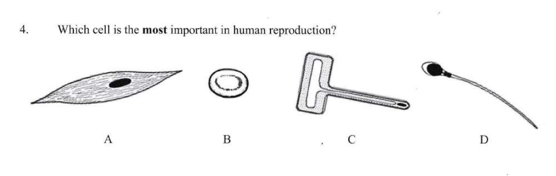 Solved I believe that the answer to this question is D. But | Chegg.com