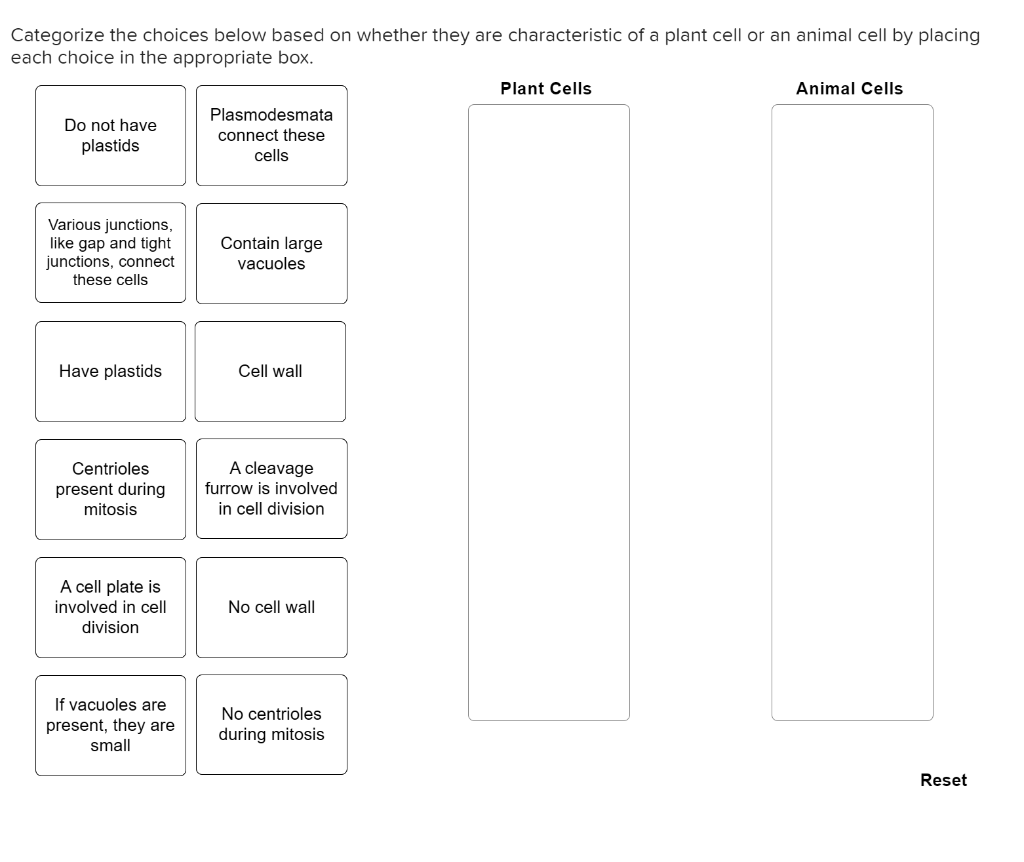 Categorize The Choices Below Based On Whether They Chegg Com