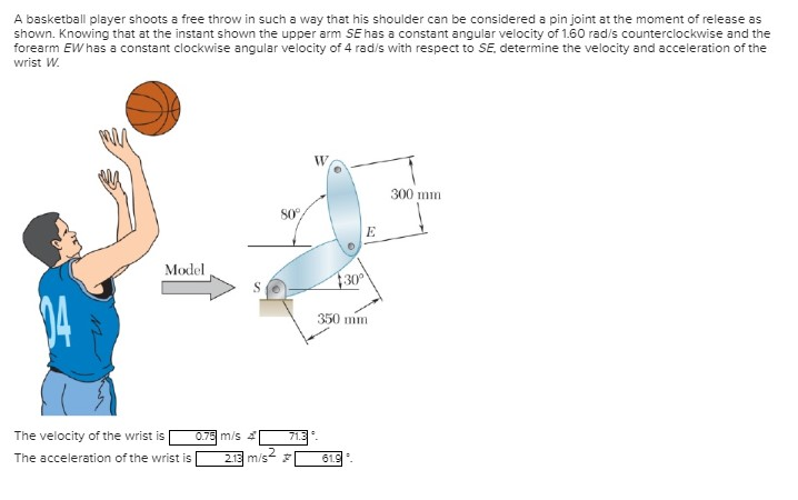 Solved A basketball player shoots a free throw in such a way