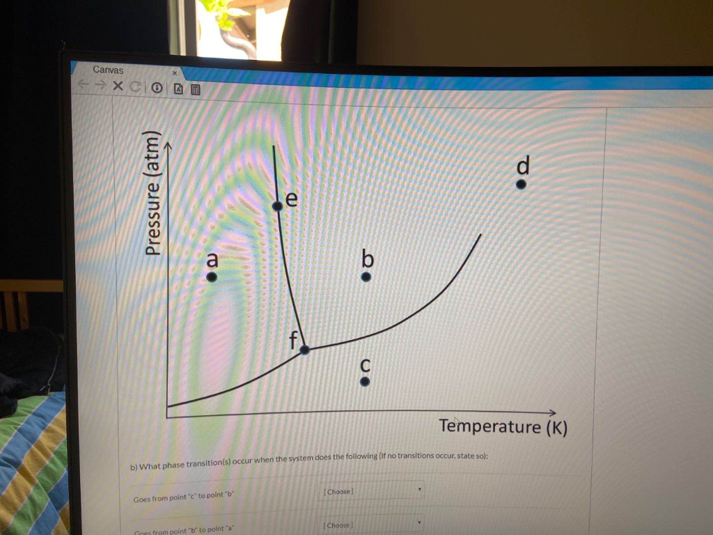 Solved Canvas → X CO 2 Pressure (atm) e а b Temperature (K) | Chegg.com