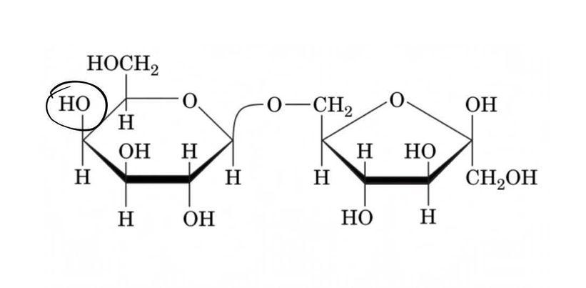 Solved Identify The Monosaccharides And Their Linkages In