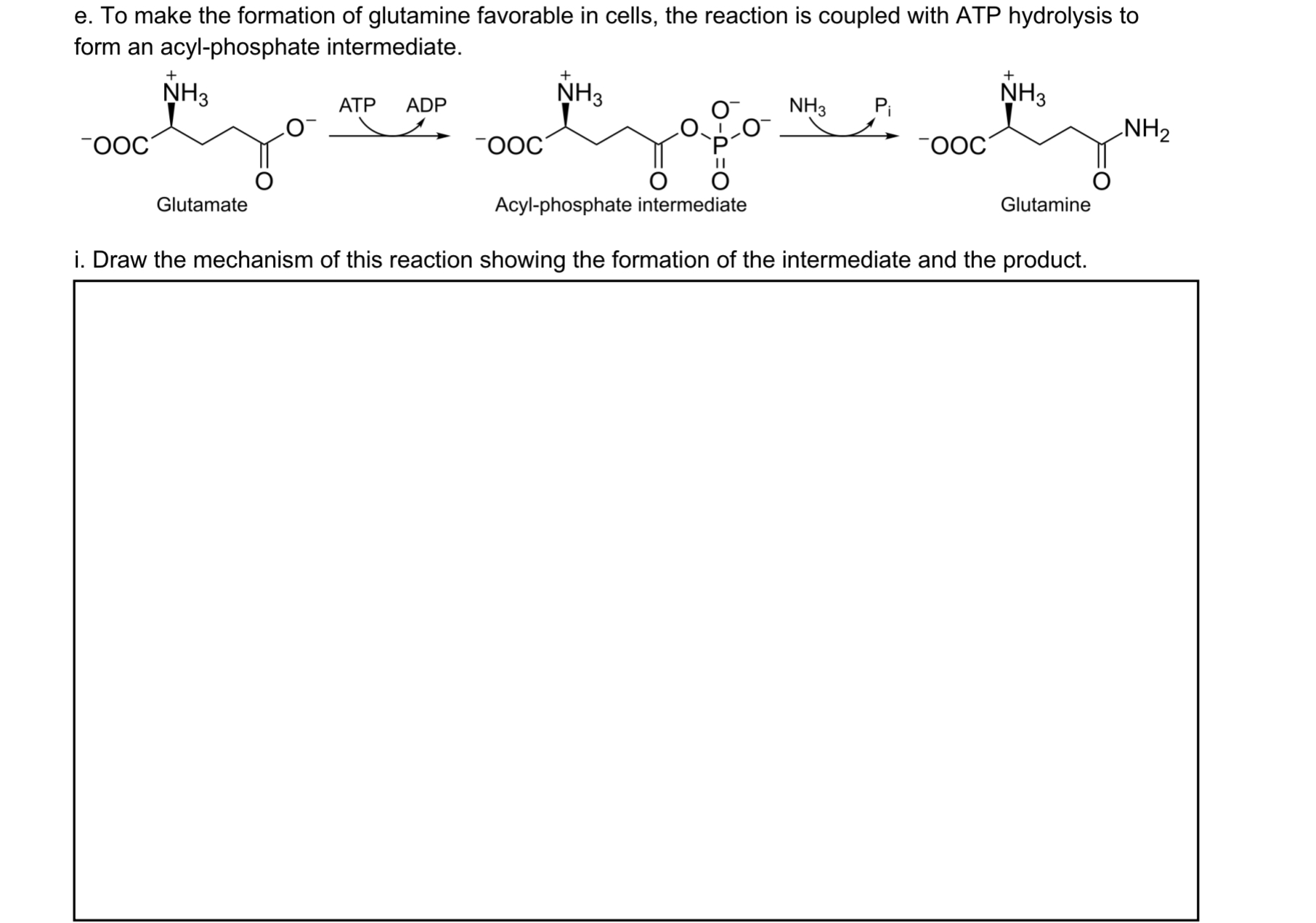 Solved e. To make the formation of glutamine favorable in | Chegg.com