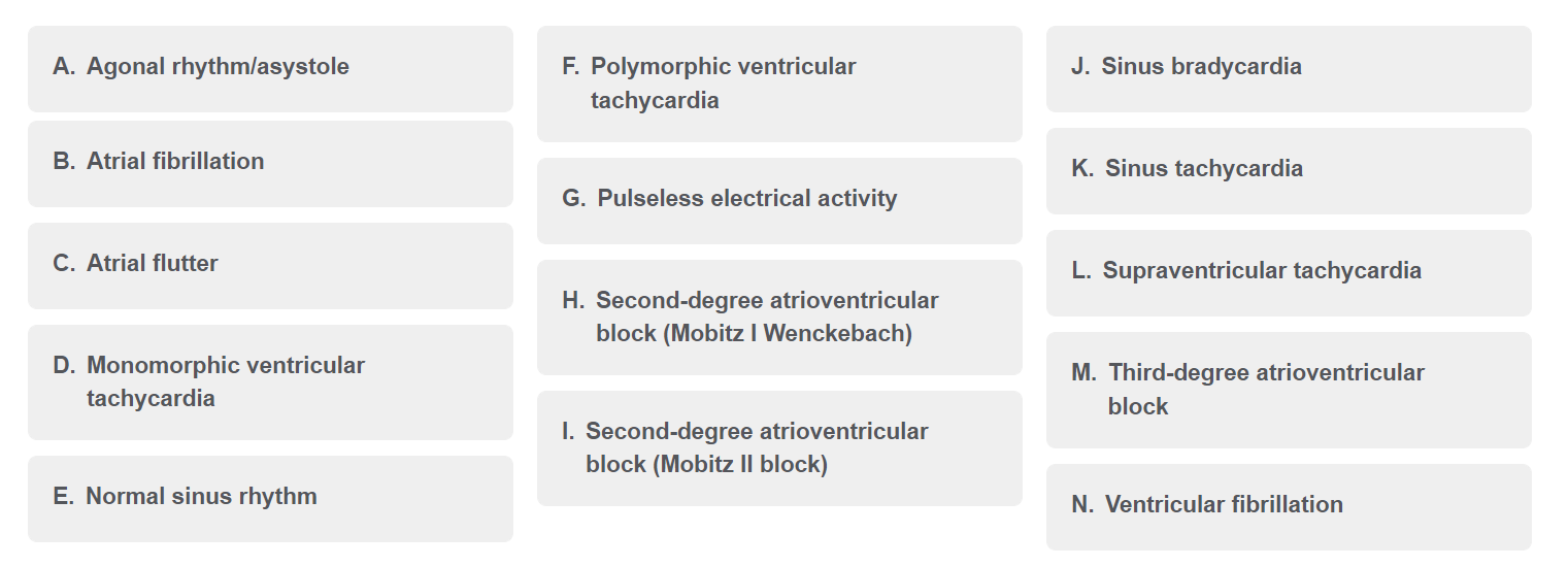 Solved Section 1: Rhythm Identification (Question: 1 of | Chegg.com