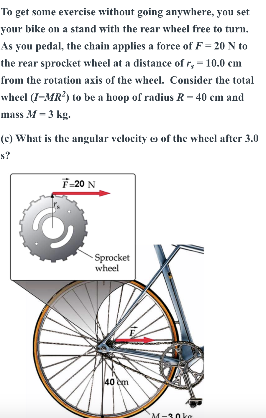 Rear wheel discount bike stand exercise