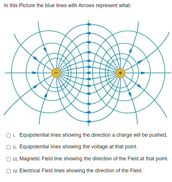 Solved In this picture the blue lines with Arrows represent | Chegg.com