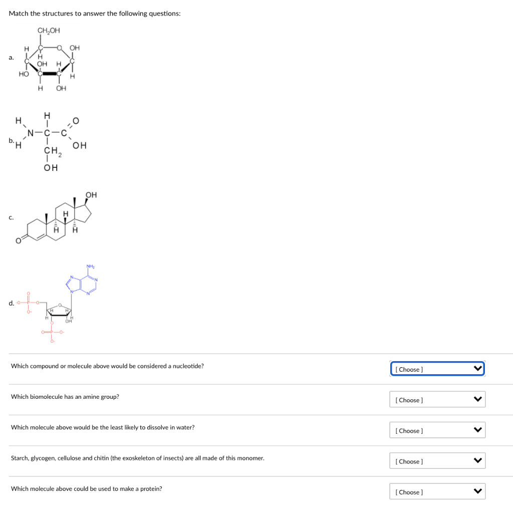 Solved Match the structures to answer the following | Chegg.com