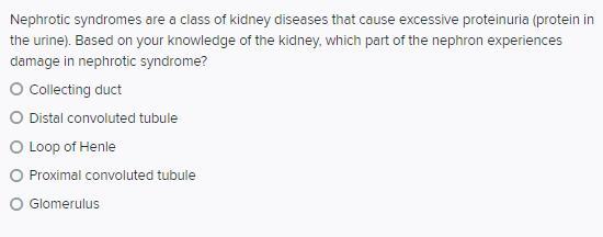 Solved Nephrotic syndromes are a class of kidney diseases | Chegg.com