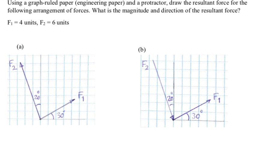Solved Using a graph-ruled paper (engineering paper) and a | Chegg.com