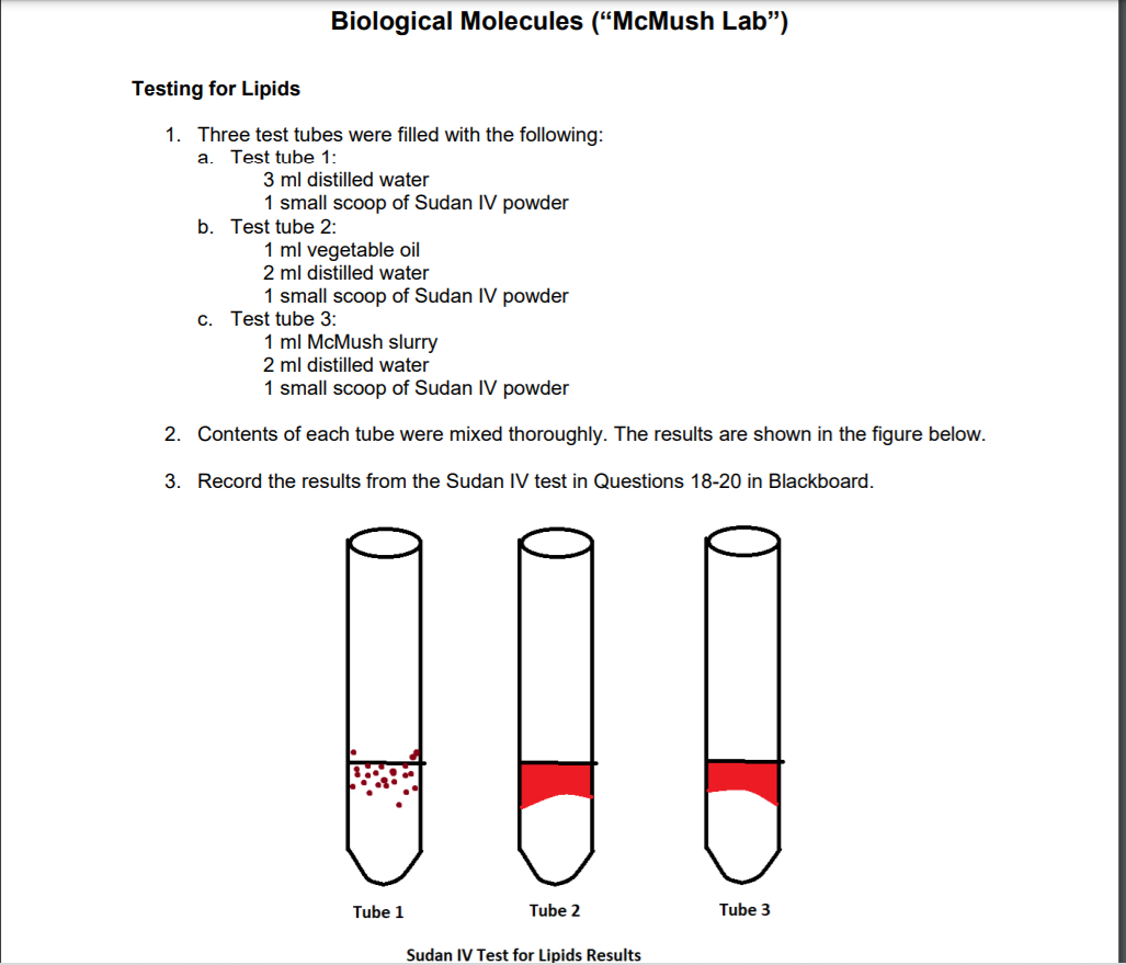 Solved QUESTION 18 1 points Save Answer Lipid Test Results 