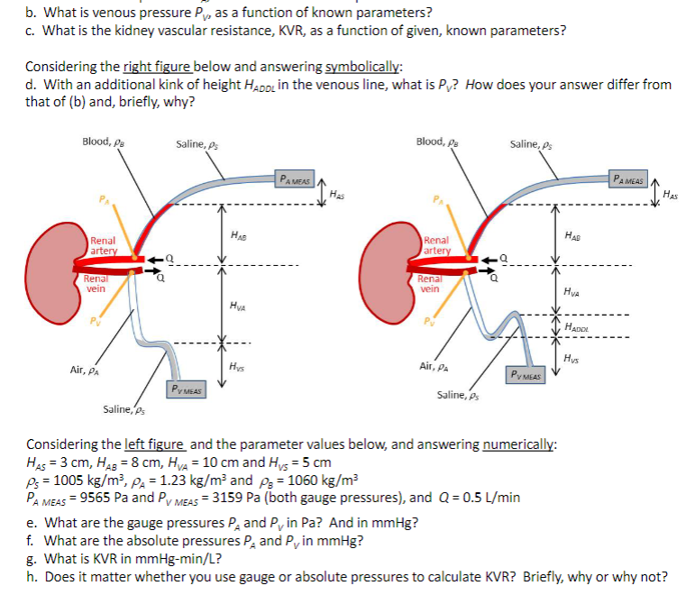 Solved answer d through f please. ﻿What is venous pressure | Chegg.com