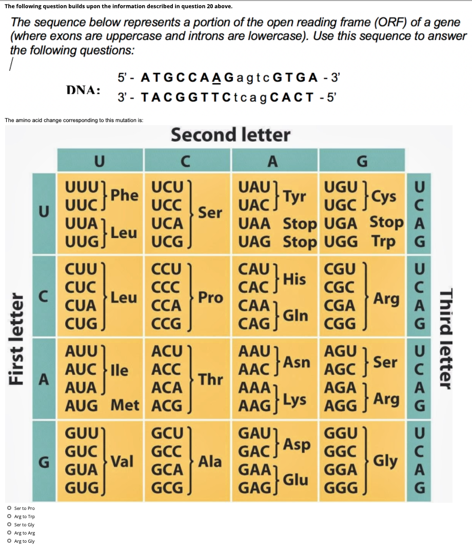 Solved The sequence below represents a portion of the open | Chegg.com