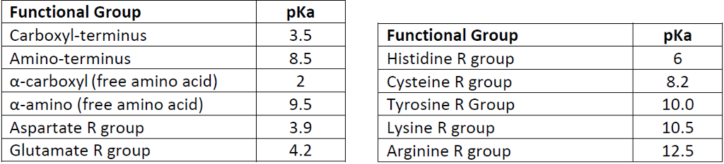 Protein R Group Pka Solved Functional Group Carboxyl-terminus Amino-terminus | Chegg.com